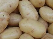 Curiosidades Gastronómicas Guarniciones Patatas