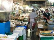 Estudia producción peces para aumentar disponibilidad alimentos