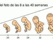 Todo proceso pasos