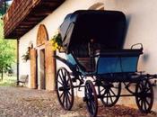 Cuento: Carreta Vacía