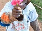 Educar personas propia