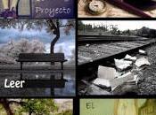 Cinco años Proyecto Escritora