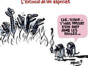 Che, Turok (Manel Fontdevila)