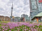 techos verdes invaden Toronto