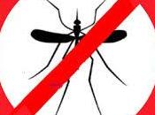 Como evitar Mosquitos casa