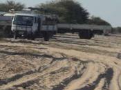 Victoria judicial para bosquimanos