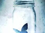 Reseña: Maravilloso Desastre (Beautiful Jame McGuire