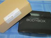 BodyBox: "Summer Bronze´13"