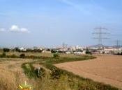 Trabal: L'Hospitalet?