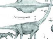 Superioridad física, fortaleza depredación/presa