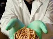 Simbiosis parasítica