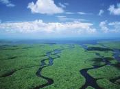 Parque Nacional Everglades