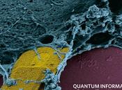 ¡Ponga microchip células! Nanotecnología para medir presión celular.