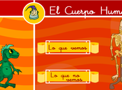 cuerpo humano: Primer ciclo primaria