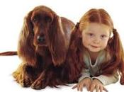 Concurso Mascota