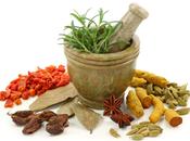 Adelgazar dieta DASH