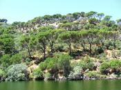 picnic embalse picadas (madrid)