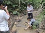 comunidad como sistema complejo multivariable