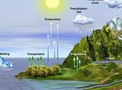 Introducción factores abióticos ciclos biogeoquímicos