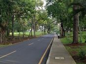 Domingo Parque