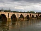 Zamora 2010