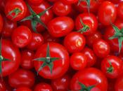Cómo podar tomates (II)