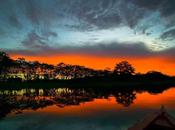 Tesoros Amazonas