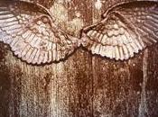 Angelfall publicará español México