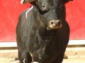 Toros Hacienda, impacto fiscalidad española