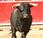Toros Hacienda, impacto fiscalidad española