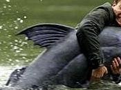 "Big fish" Burton