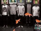 Camera Talk Local Natives
