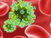 antirretrovirales podrían proteger frente antes exposición virus