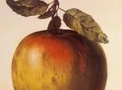 Cosas buenas menos minutos