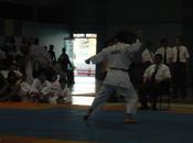 vueltas Karate.