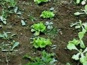 Sorpresas sorpresas...