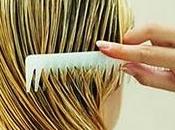 Protege cabello