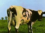Pink Floyd Atom Heart Mother