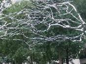 Recuperación Personas Trastorno Mental Grave