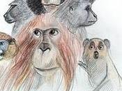 Derechos animales