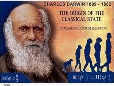 Darwinismo cuántico experimental: puente entre clásico