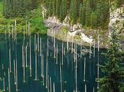 bosque sumergido lago Kaindy