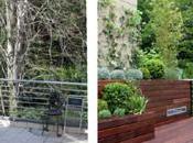 Diseño Jardines: fotos antes después