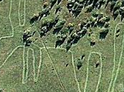 geoglifo descubierto rusia disputa antiguedad lineas nazca