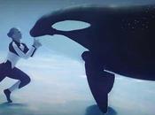 Blackfish: película SeaWorld quiere veamos