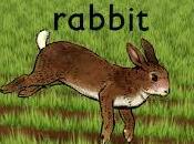 Rabbit Wrake (2005)