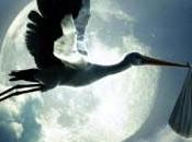 nuevo miembro familia