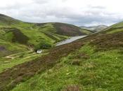Pentland Hills verano