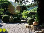 gustan jardines verticales