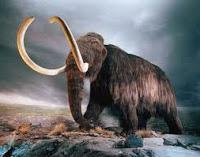 Wrangel, dominio último mamut